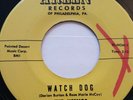 The Nomads Watch Dog Cool Tomato Arlen Records