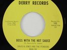 Davis & Jones & The Fenders 