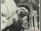NOCTURNAL EMISSIONS - Drowning In A Sea Of Bliss (Record Store Day 2020) - LP