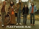 FLEETWOOD MAC The Green Manalishi Vinyl Record Single 7 Inch Reprise 1970 & Rock