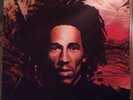 Bob Marley & The Wailers Natty Dread LP Album RP Vinyl Schallplatte 190521