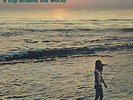 Alessandro Alessandroni  - A Trip Around The World  - Vinile