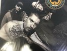 House Of Pain Fine Malt Lyrics Vinyl Factory Sealed 180 Gram