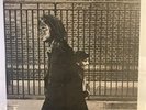 LP Neil Young - After the gold rush | 1971 Japan Press | NM/EX+ | lyrics