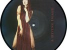 Ordo Equitum Solis - A Divine Image Picture Disc Ltd 777