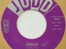 TOMMY ROE & SATINS Shelia / Pretty Girl JUDD 45 original version NM HEAR