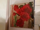 Jaynettes lp13 Sally go Round the Rose's DJ lp