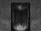 PAYSAGE D'HIVER: IM WALD (LP vinyl *BRAND NEW*.)