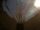 Modern English Pillow Lips 2810-1 original 1990 Factory sealed +mint condition