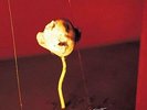 Julee Cruise-The Voice Of Love VINYL NEUF
