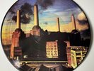 Pink Floyd - Animals  Picture Disc Lp (VG)