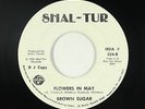 Deep/Modern Soul Funk 45 - Brown Sugar - Flowers In May - Shal-Tur - mp3 - rare