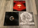 Cro-Mags The Age of Quarrel LP Erstpressung Rarität