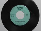 THE PLAYBOYS (JOHN FRED) Boogie Children 45 rpm Jewel RARE GARAGE ROCKABILLY ?