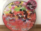 Yeah Yeah Yeah's - Fever to Tell LP Picture Disc LIMITED