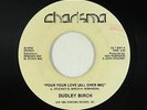 Modern Soul Boogie 45 - Dudley Birch - Pour Your Love - Charisma - mp3 - rare