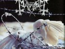 Mayhem - Grand Declaration of War LP 2006 white vinyl Back on Black
