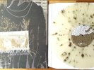 Portugal The Man Waiter You Vultures Vinyl LP Clear Gold Splatter /500 Like New