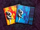 Guns n roses use your illusion 1&2 vinyls