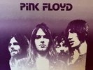 Pink Floyd “Take Linda Surfing” LP