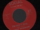 (Hear) Randy Spangler Country Rock & Roll / Rockabilly 45 (Jim Dandy's Bride)