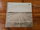 Vincent Gallo - When -  Vinyl LP on Warp Records - Cat WARPLP87