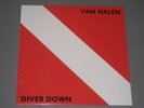 VAN HALEN  Diver Down (From Orig Analog Tapes) 180g LP New Sealed Vinyl