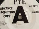 Mal and The Primitives,DEMO,Every Minute Of Everyday,EX,PYE,1966,Freakbeat,Mod