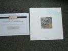 KEN SAUL....SEASHELLS ...NR MINT COPY ..RECORD COLLECTOR   LTD EDITION +INNER
