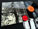 TONI VESCOLI Information Swiss Acid Folk Psych  1971 MINT- LP + Poster