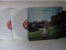 Trees - On The Shore 2LP - Sunbeam - 2008 - Numbered 1000 Only