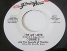 DEBBIE S. & THE SOUNDS OF THUNDER : try my love / beware Flaming Arrow MOD SOUL