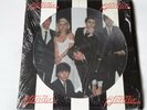 BLONDIE - Parallel Lines Vinyl LP 1978 PICTURE DISC USA PRESS CCH1192 MINT Vinyl