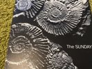 The Sundays Reading, Writing And Arithmetic Limited Edition Printed Fossil Vinyl