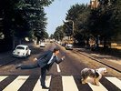 Mccartney Paul / Paul Is Live (2LP/GF/180G/BLUE/PEACH)