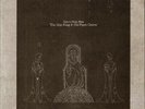 Drawn From Bees ‎– The May King And His Paper Crown - Vinyl