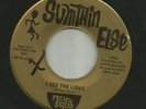 GARAGE ROCK bw DOOWOP TEEN- TIGERS (danny peil) I SEE  - HEAR- 1965 SUMTHIN ELSE