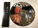 Alkaline Trio Hot Water Music Split Picture Disc Vinyl Gold Insert Rare