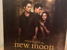 The Twilight Saga: New Moon Original Motion Soundtrack Vinyl Record Double LP