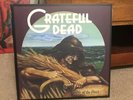 Grateful Dead - Wake of the Flood VMP LP from Anthology Box Set Vinyl Me Please