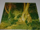 Echo and the Bunnymen - Crocodiles Vinyl Original First Pressing Excellent