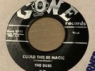 THE DUBS - COULD THIS BE MAGIC - US GONE 45 - DOO WOP VG clean