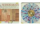 Audio Karate - Lady Melody Vinyl 1st Press Splatter of 150 MXPX NOFX ATARIS New