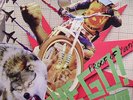 The Go  Team - Proof Of Youth (LP, Album, Ltd)