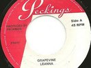 Leanna  / Macka B - Grapevine / Never Played A 45 (7