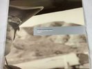 The Brian Jonestown Massacre - Bringing It All Back * 2006 A Records AUK001LP EU