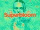 Ashton Irwin - Superbloom [VINYL]