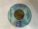 13th Floor Elevators - 45 You're Gonna Miss Me/Tried To Hide IA label NM