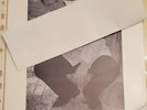 VERY RARE RANDY KENDALL PRESS PHOTO  FREESTYLE