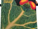 Catapilla - Changes - Original Erstpressung Mint/VG++ Vertigo-Swirl - ULTRARAR